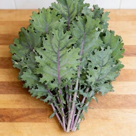 Red Russian, Kale Seed Seed
